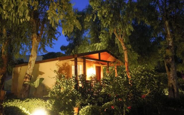 Dirik Surf & Beach Club Hotel Datça