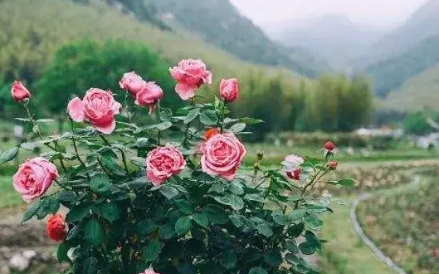 Tianzhu Huaxi Vally B&B