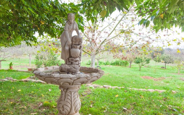 Sa Cova (Cova De Rotana)