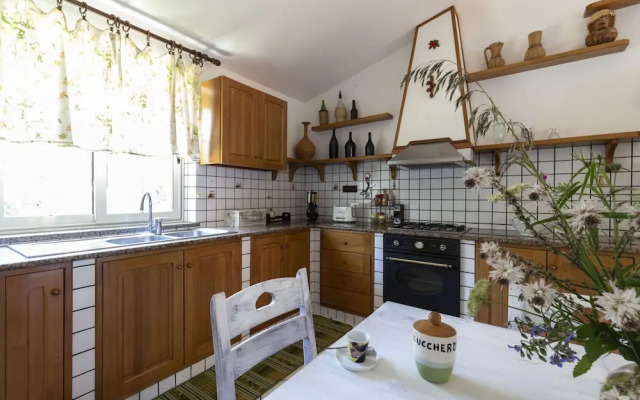 Ville Pini e Aurelia