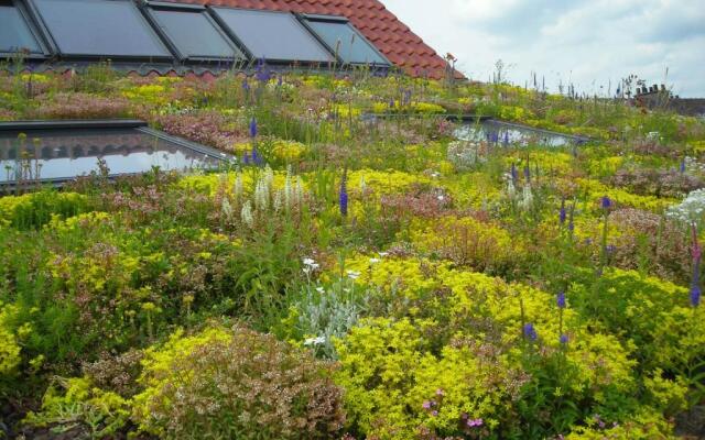 Gîte Fleur de Ciel