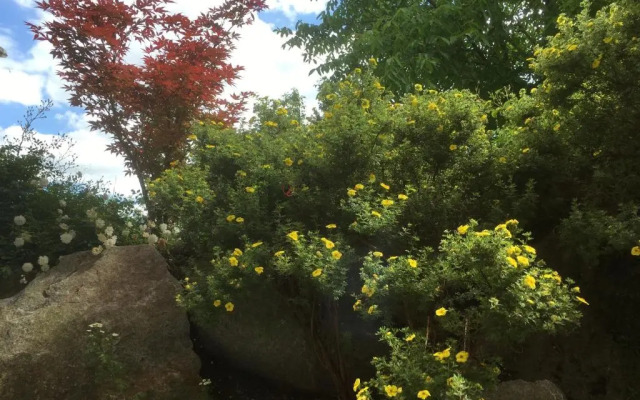 Freundliches Studio bei Böblingen