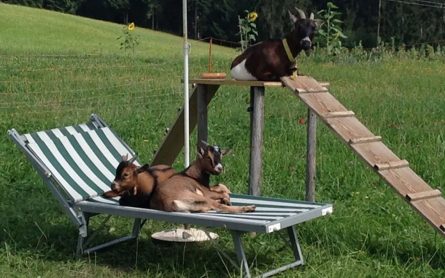 Wooden Apartment With Mountain View