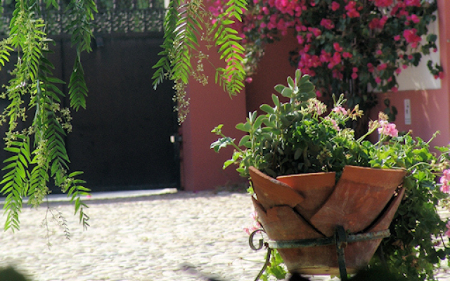 Pátio da Avó Faustina - Agroturismo