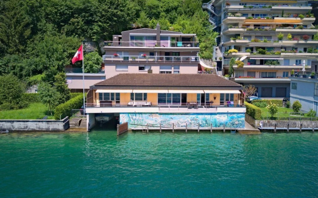 Seestern am See mit Motorboot Ennetb Rgen