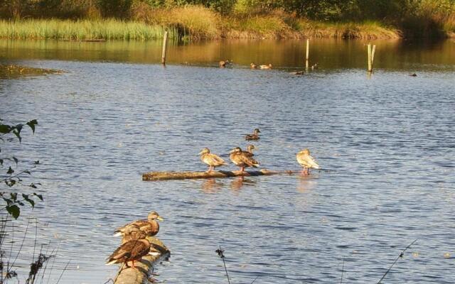 Vakantiepark Witterzomer