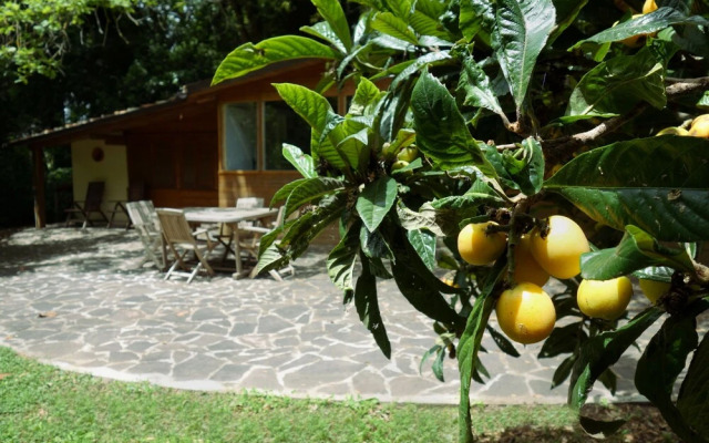 Madonnella Agricola