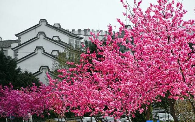 Mu,Spring