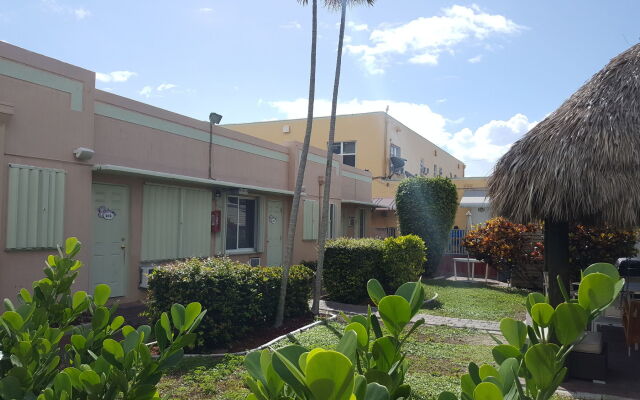 Hollywood Beach Flamingo