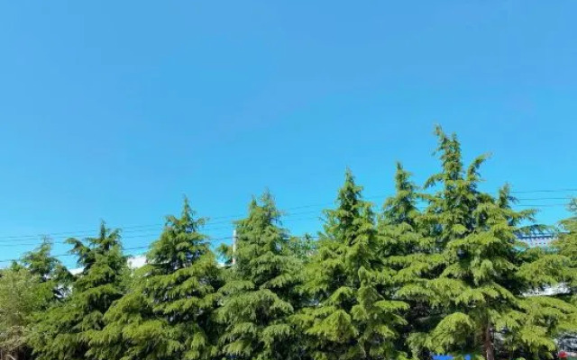 Aladdin Hotel, Jiaobei