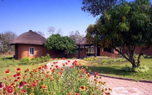 Kings Sanctuary