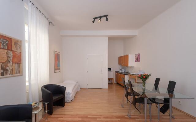 Spacious Apartments in Heart of Prague