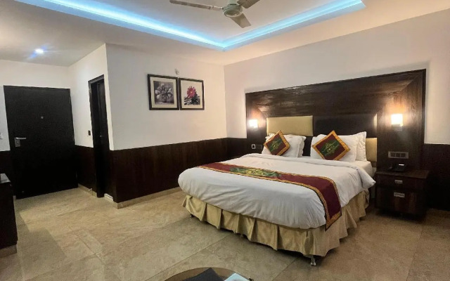 Kasauli Exotica