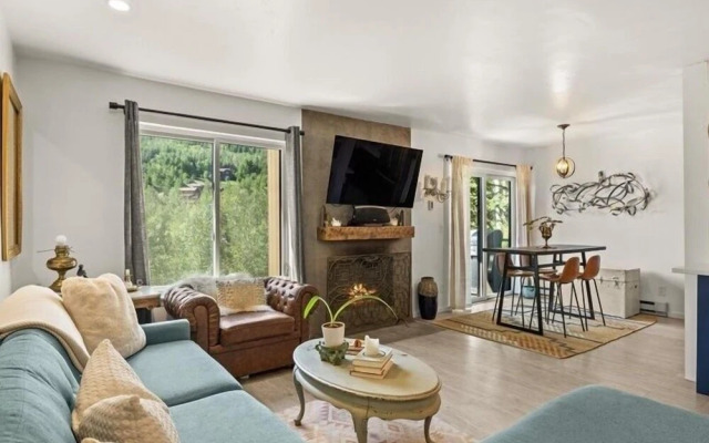 Remodeled Snowmass Pet-Friendly Modern 1BR Condo - G125