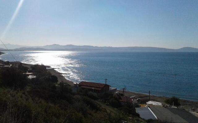 Studio Galatia