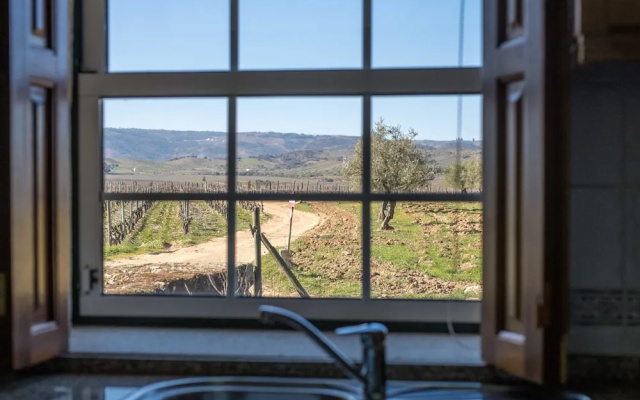 Holiday Home on Estate With Vineyards, Olive Groves and Swimming Pool