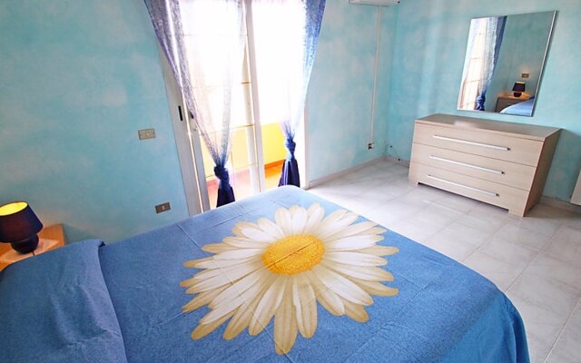 Erika House Is Molas