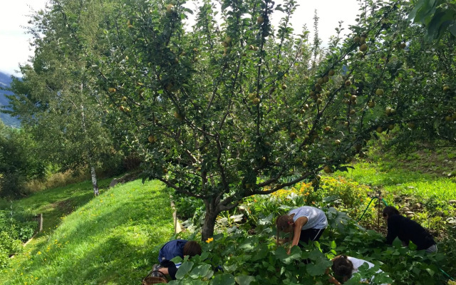 "La Coustille" Chambres et Table d'Hôtes