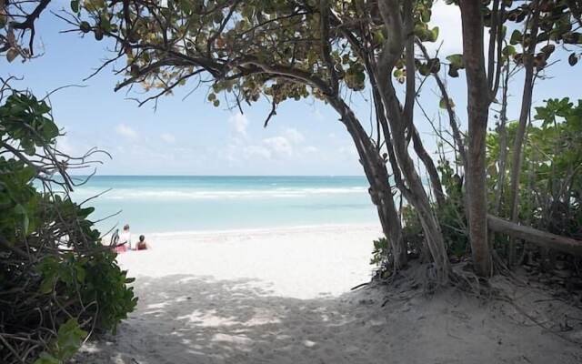 Castle Beach Club Apartments
