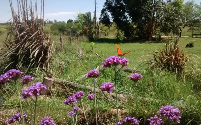 Bungalows Tiempo Libre