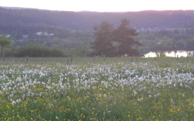 Gîte La Maison Toute de Travers