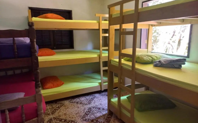 Live Hostel