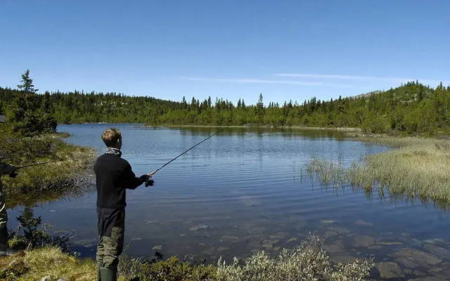 Holiday Home in FÃ¥vang