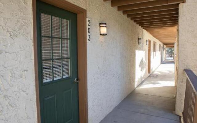 SDC203 Snowdance by RedAwning