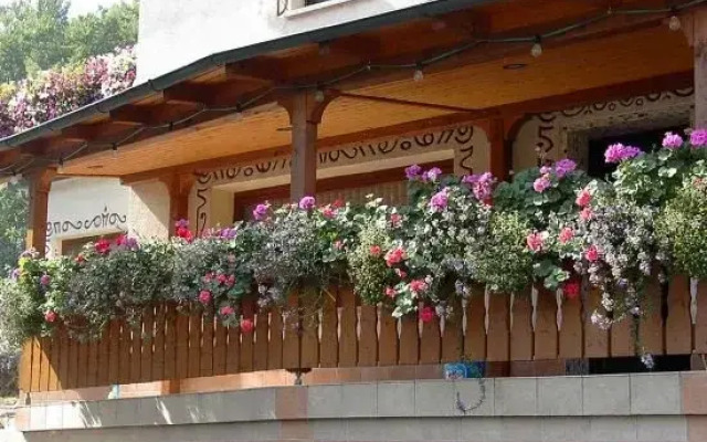 Gasthof Zur Burgruine