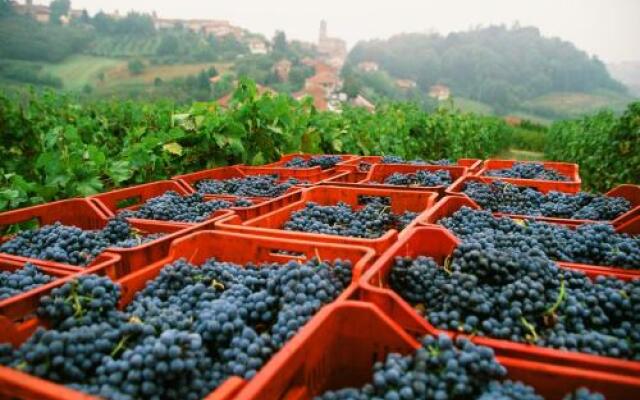 Locanda Marchesi Alfieri