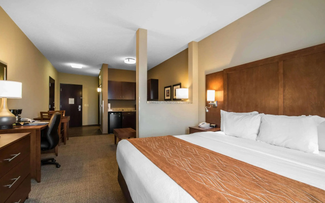 Comfort Inn & Suites Sayre