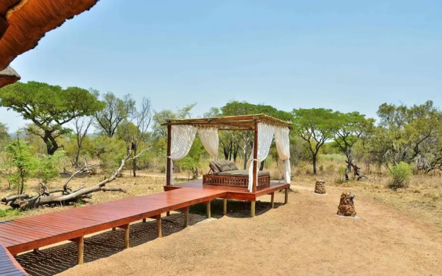 Safari Plains