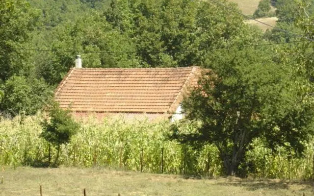 The Lake's House