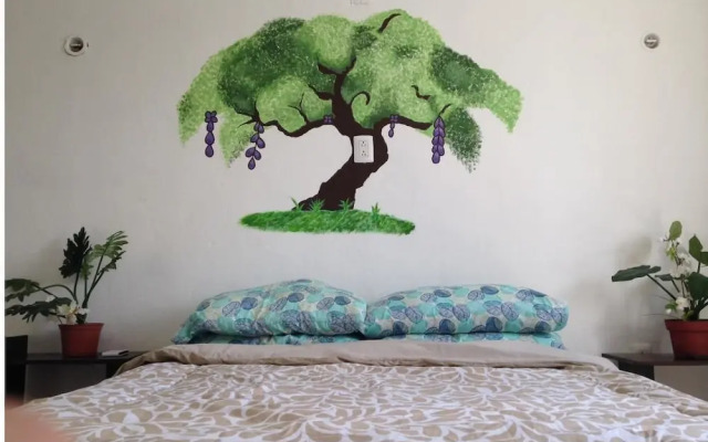 La Casa del Árbol Cancun