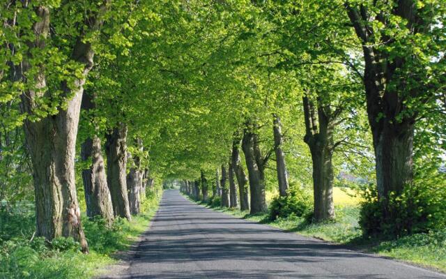schöne Ferienwohnungen in Dranske auf dem Windland