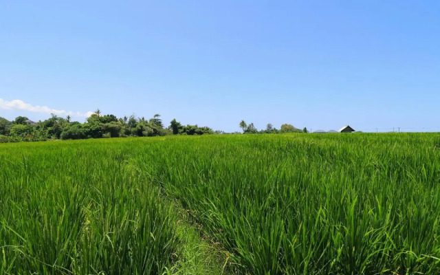Villa Alisha Pererenan Canggu