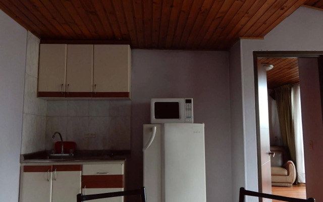 Apartamentos Galerias 52