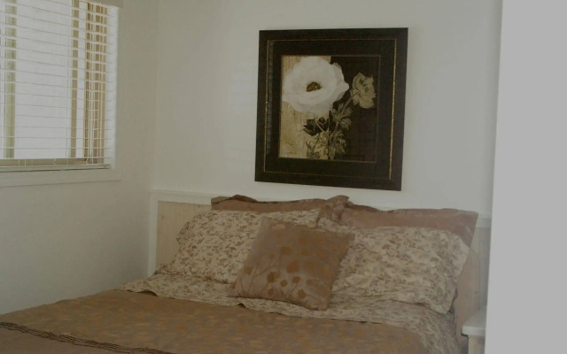 Shady Shores Beach Resort