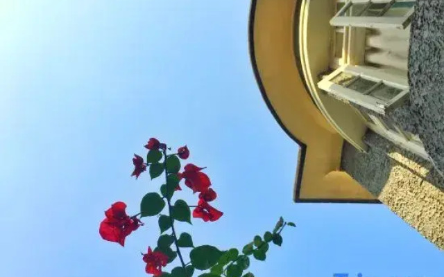 Xiamen Gulangyu Aifeier Hotel Guanglangyu Blue Island Branch