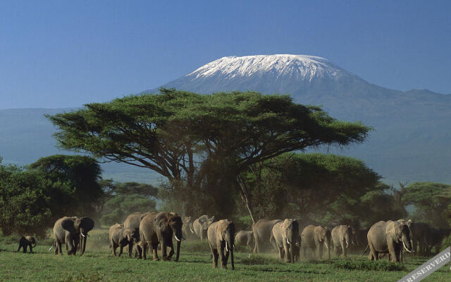 Maasai Simba Camp