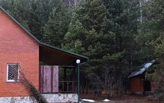 Двухэтажный дом с баней Рябинушка 3