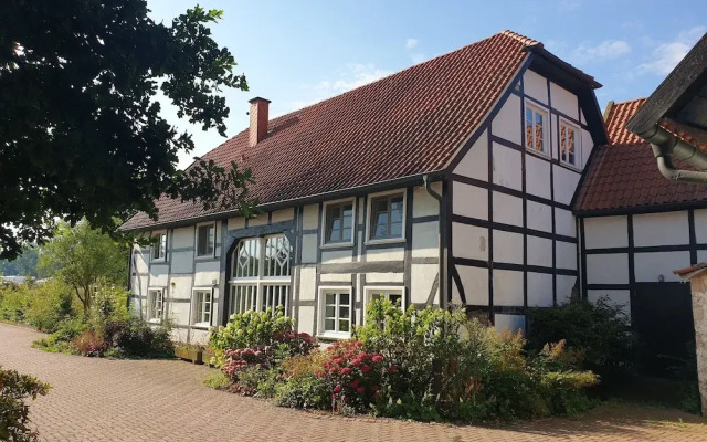 La Alqueria de las Alpacas - Alpakas am Ardey