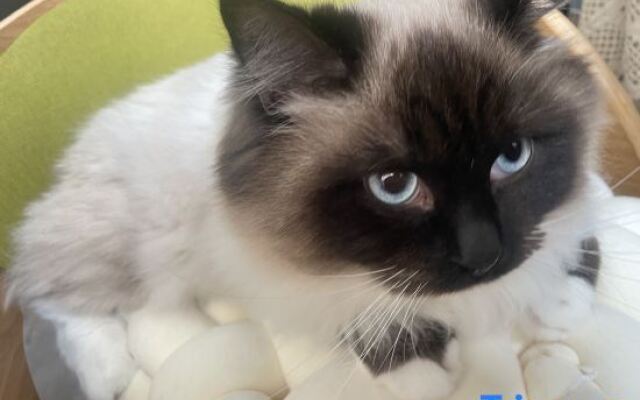 Seaview Forest Life·Aerobic (Shengsi Nanchangtu Beach Branch)