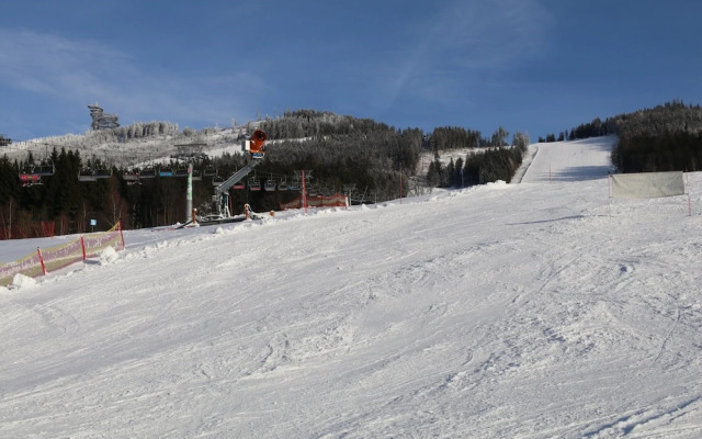 Villa in Dolni Morava Near Ski Slopes