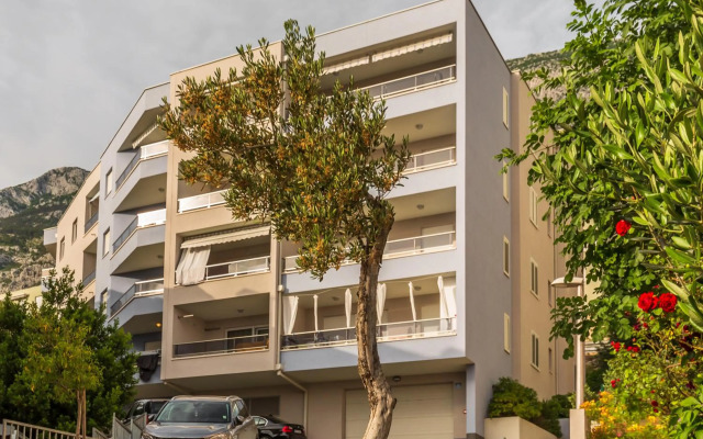 Urban City Apartment