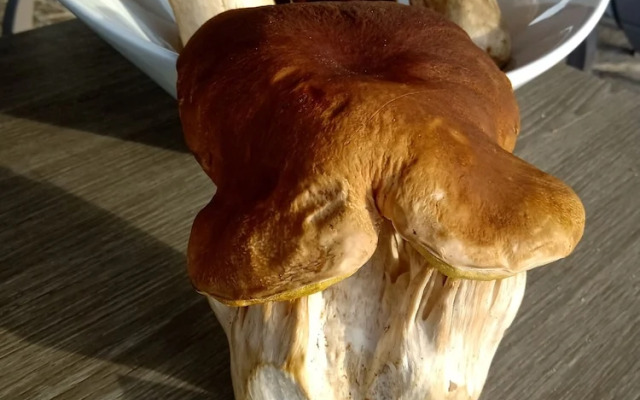 Hôtel Restaurant Le Montlo 48