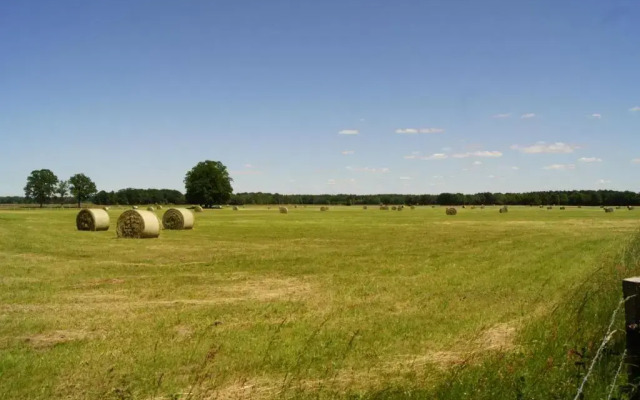 Landhotel Zum Krug Im Grunen Kranze