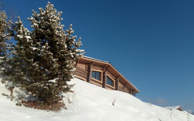 Гостевой дом Шале Телецкое