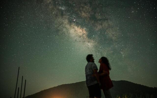 Back Wood Stays cheog