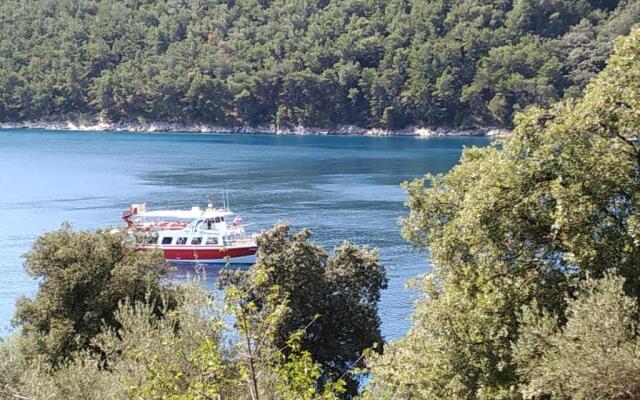 Villa Luma Apartments